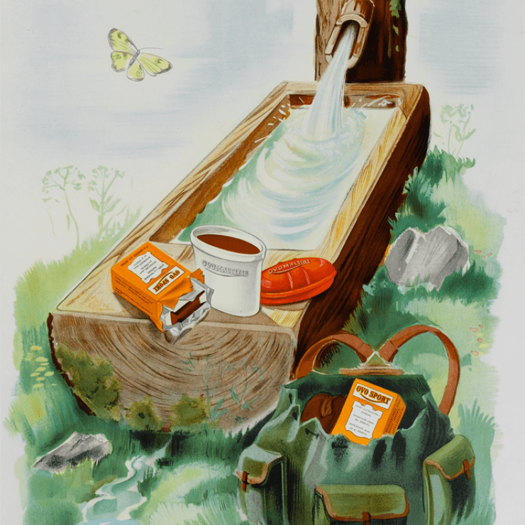 Ovo Sport stärkt augenblicks